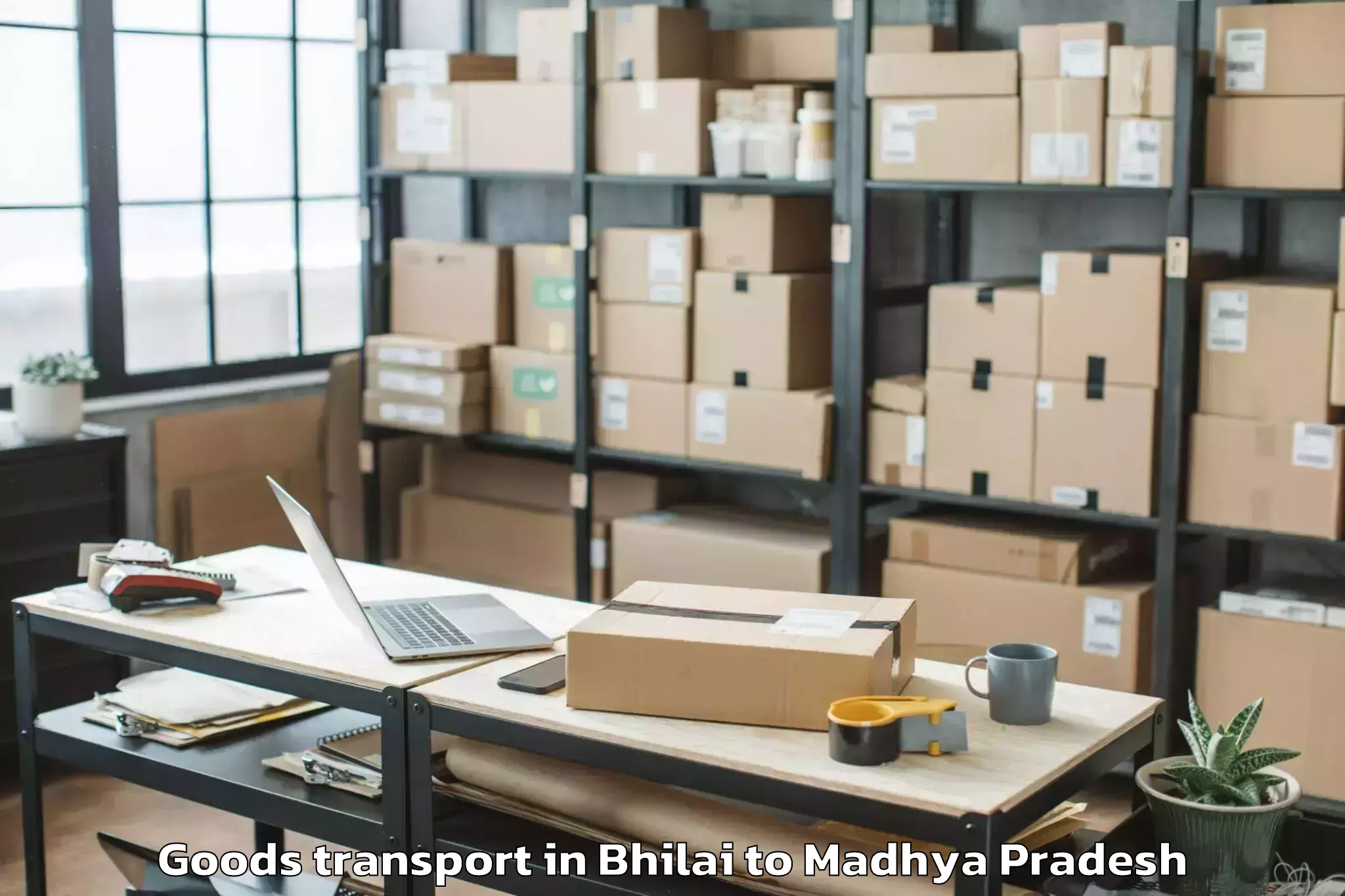 Quality Bhilai to Mandsaur University Mandsaur Goods Transport